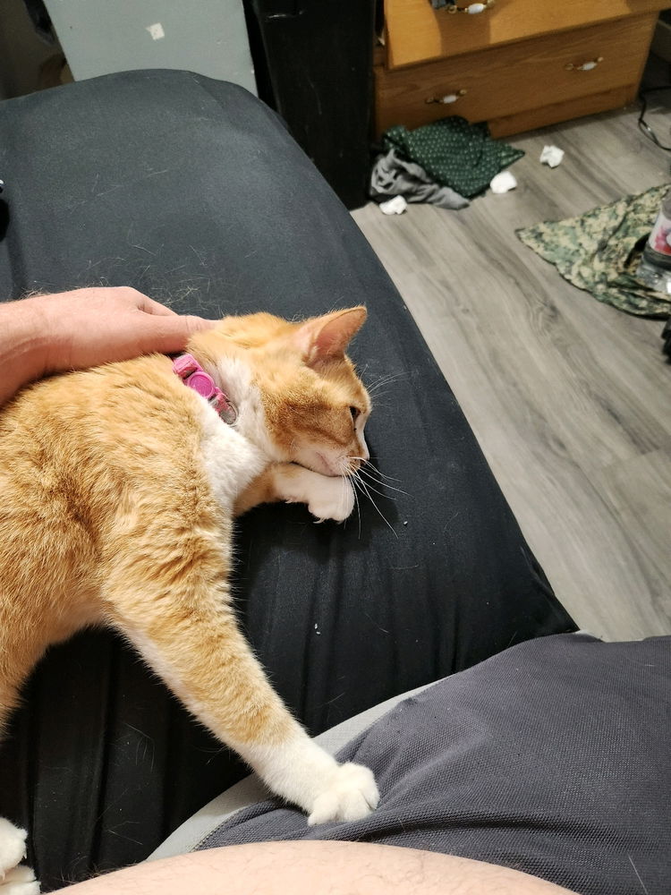 She loves scratchies