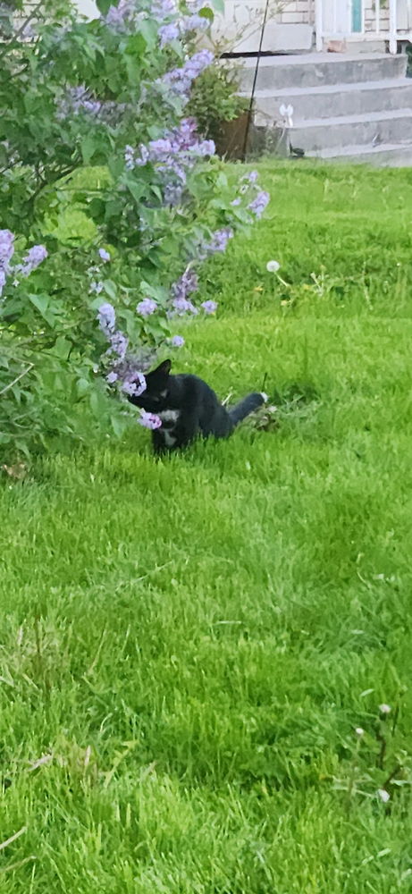 Beans likes flowers 