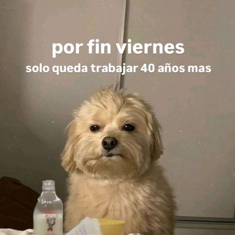 Para acabar feliz el día ✨️