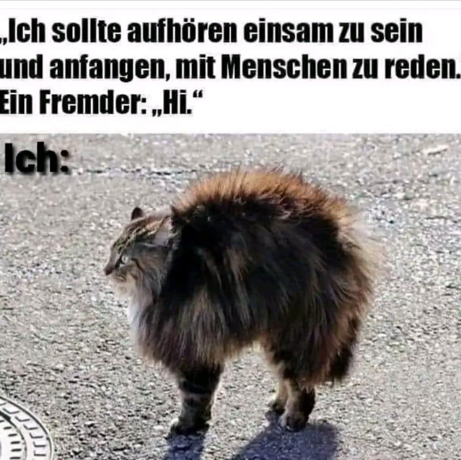 Mit Humor nehmen bitte 😂