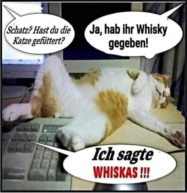 Mit Humor nehmen bitte 😂