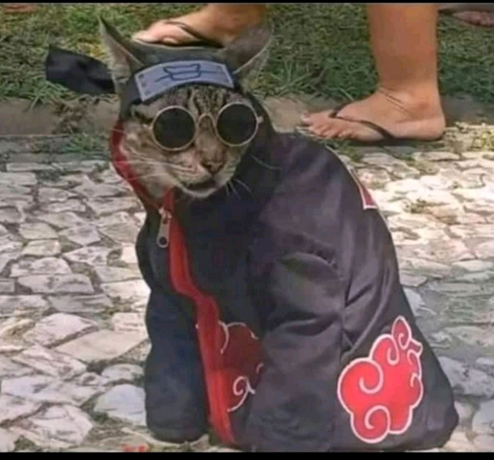 ‌