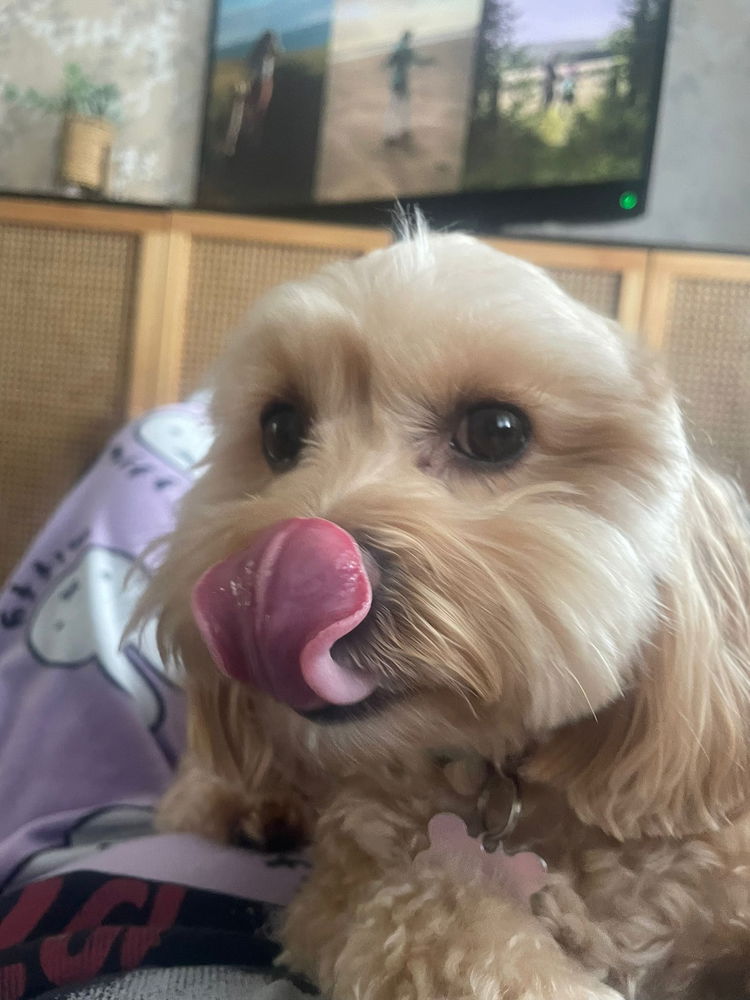I love my little goofball 😘🤭