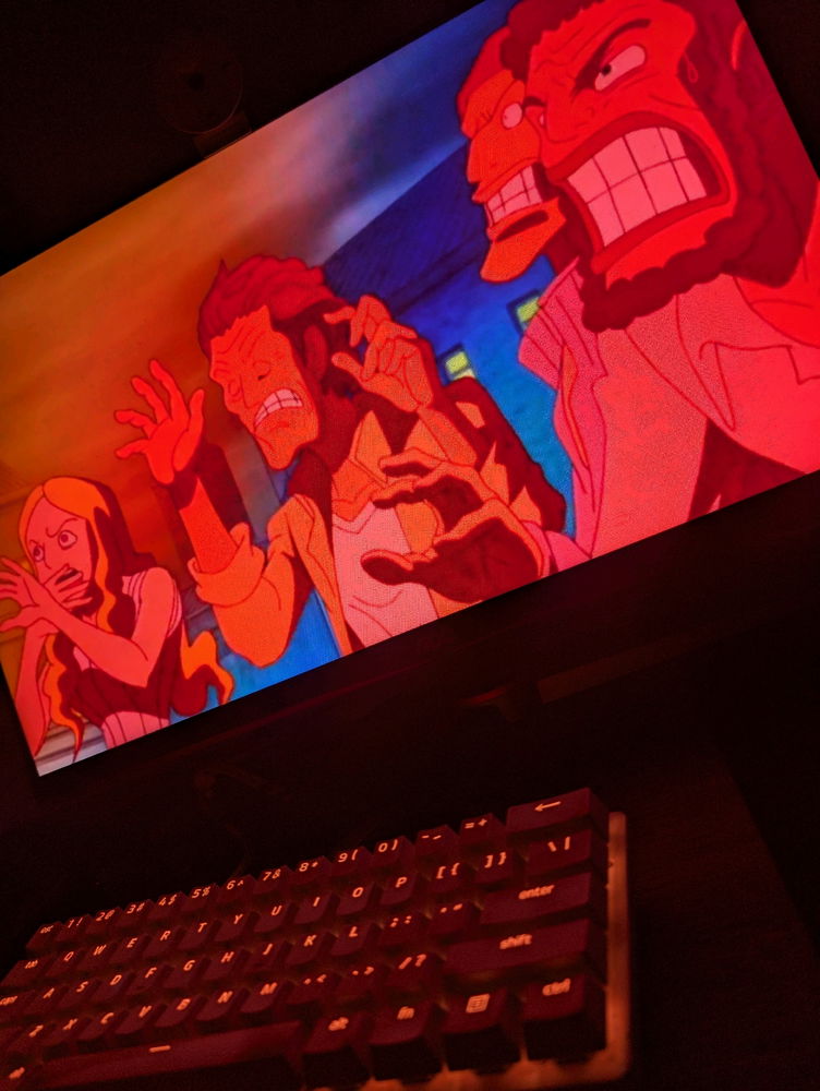 One piece is real 🤓