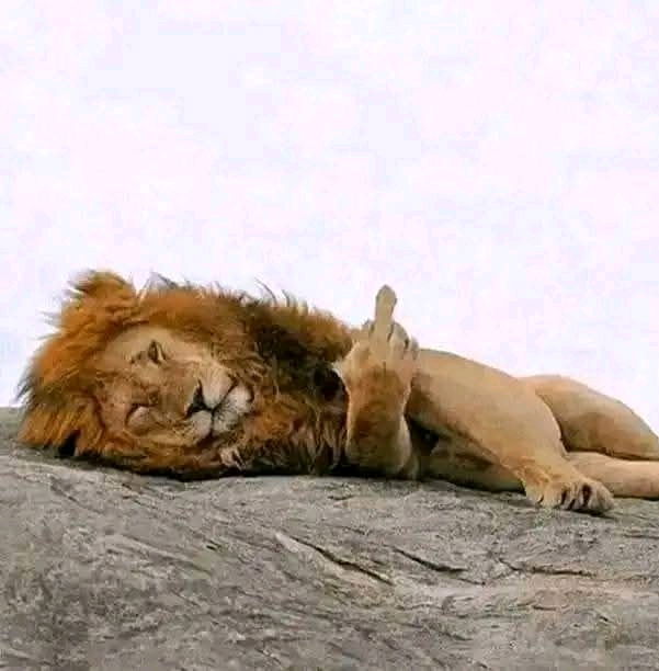 mood :