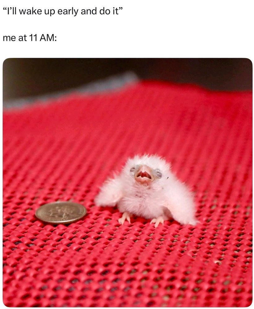 I feel this to my core. XD