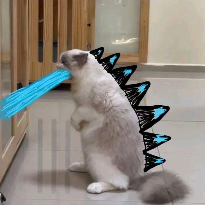 Catzilla ⚡️