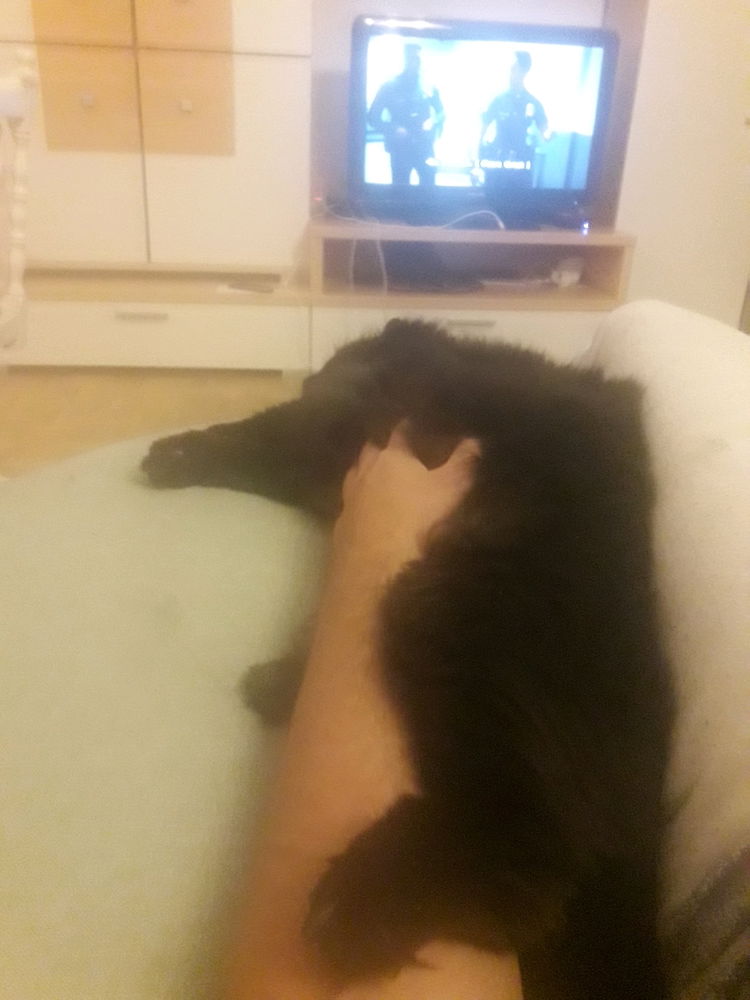 5 min before she sliced me up