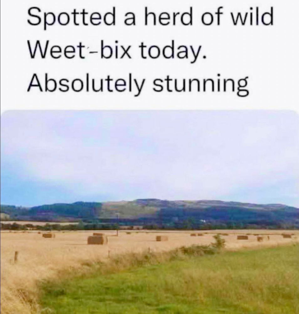 🤠🌾