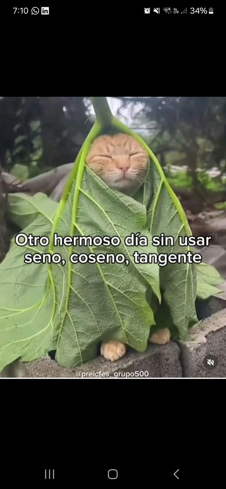 Agradecida