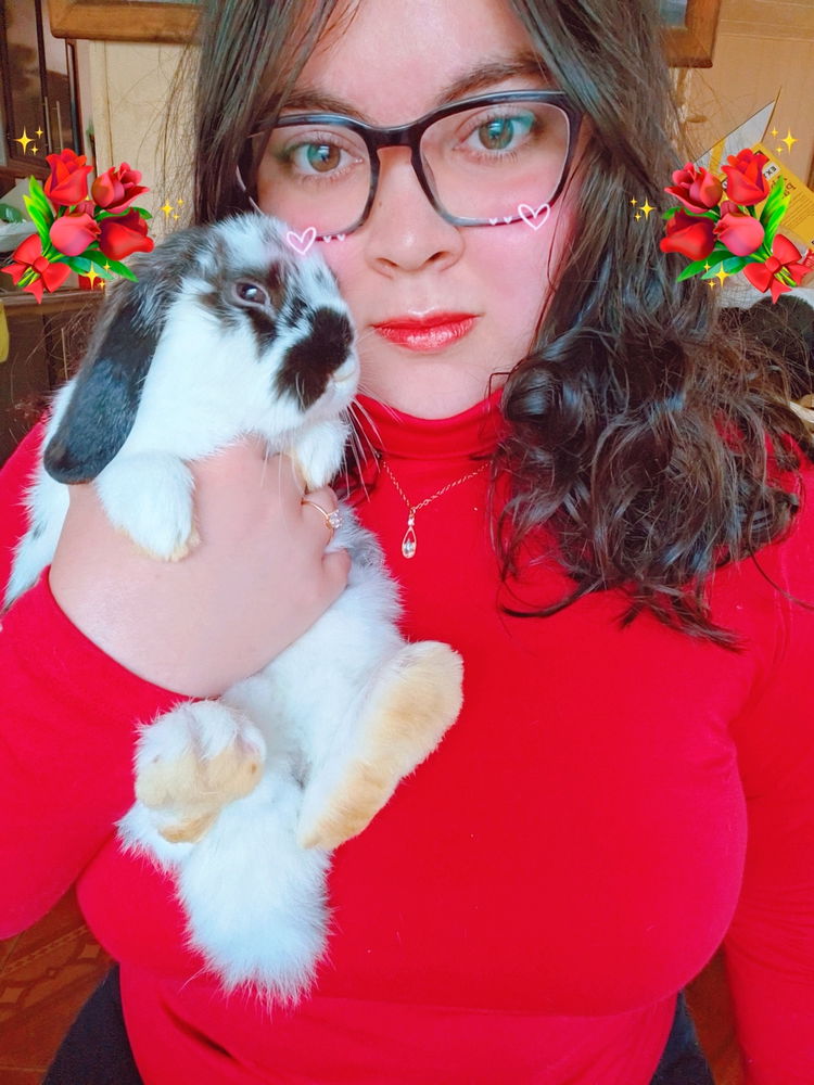 ¿Cara de 🐱 o 🐰?