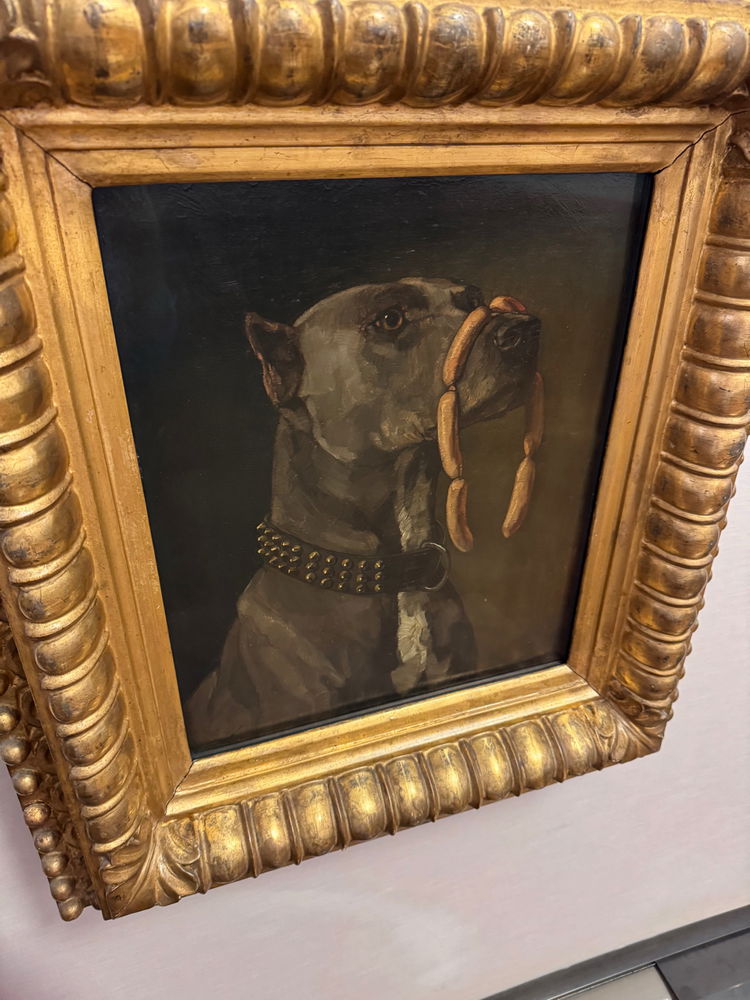 Cute doggo