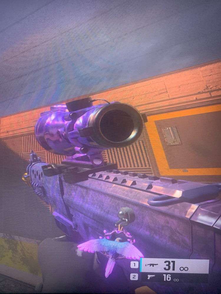 New R6 Skin