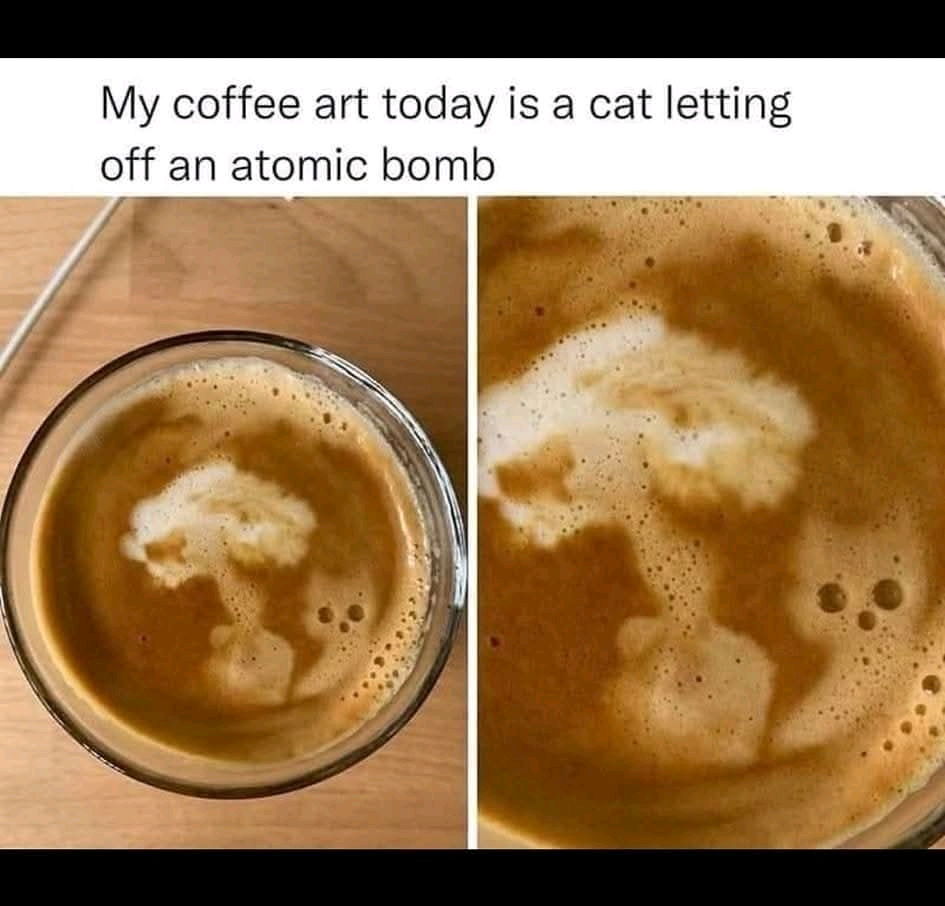 ☕️ 🐈 💣