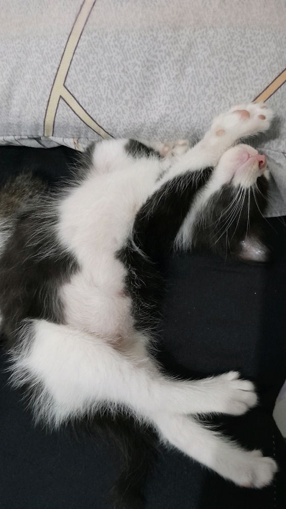 Tidur gayaa apa ssih ini.. wkwk