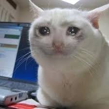 Me duelen las patas