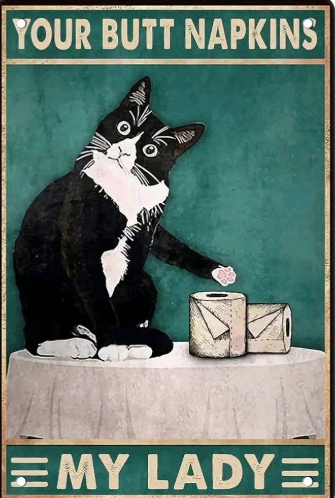 🐈‍⬛️ 🧻