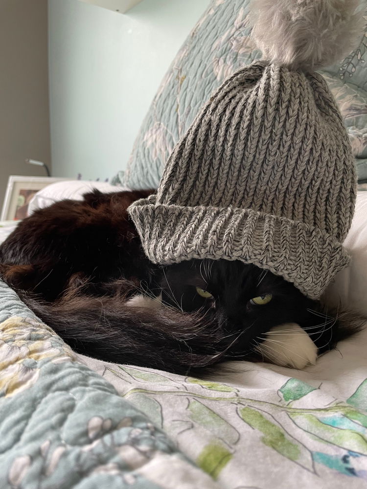My new model