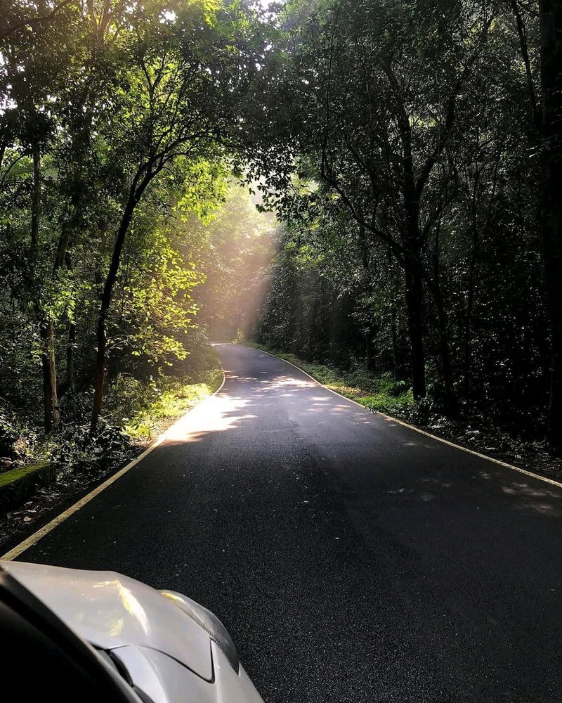Nature