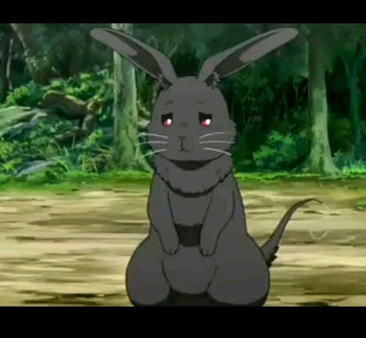 sad bunny