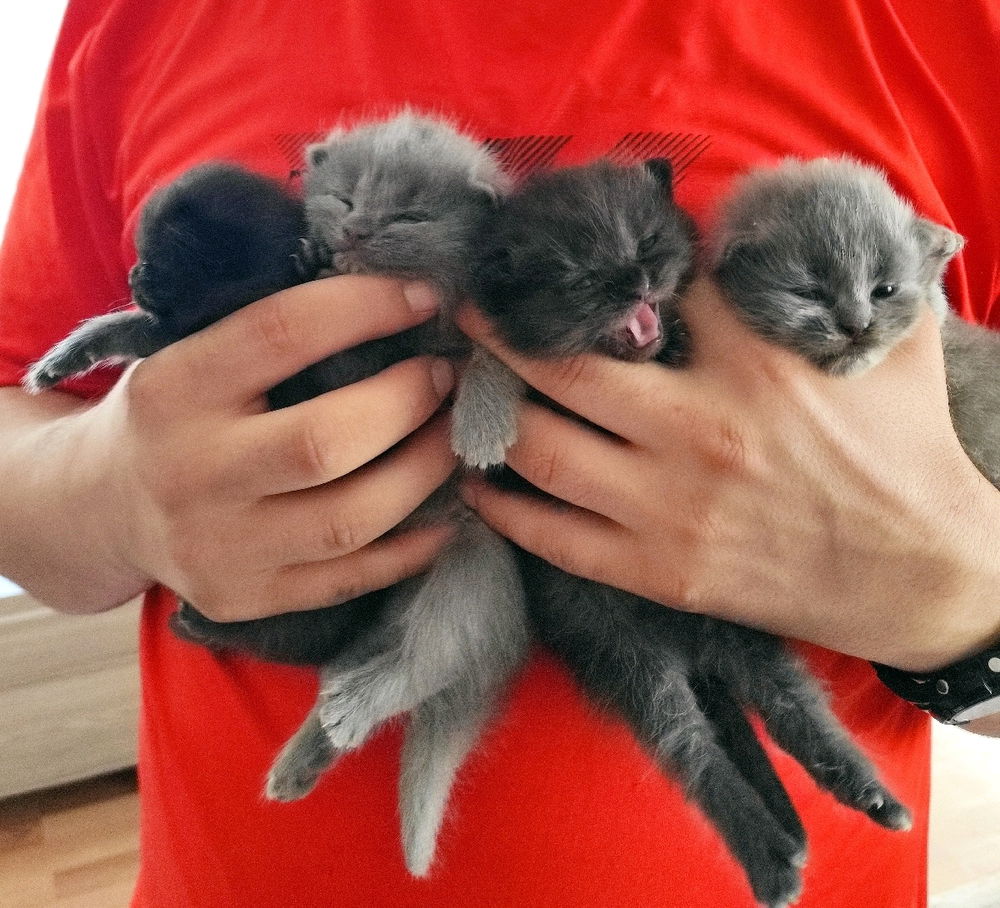 Yavrularım (My babies🥰)