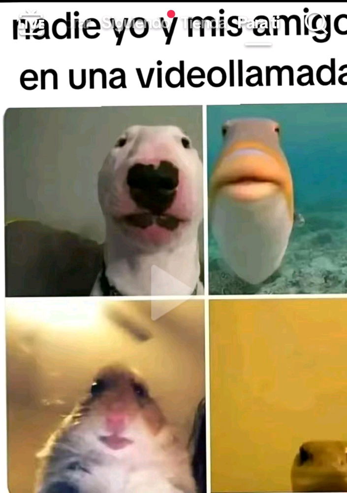Se buscaaa