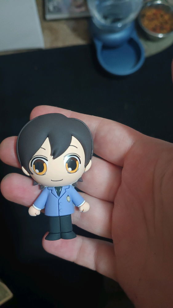 Haruhi Fujioka Magnet