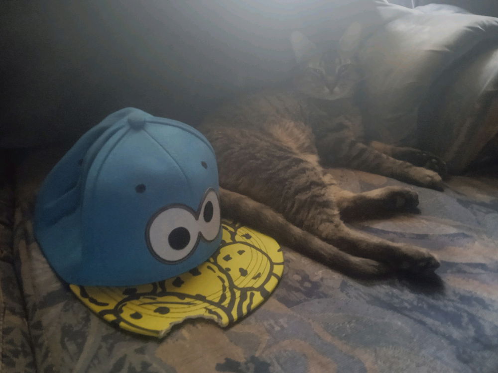 El Michi y el come galletas