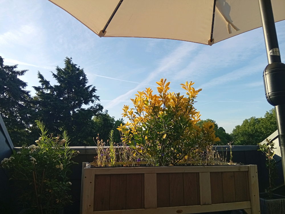 Grüße aus Balkonien.
