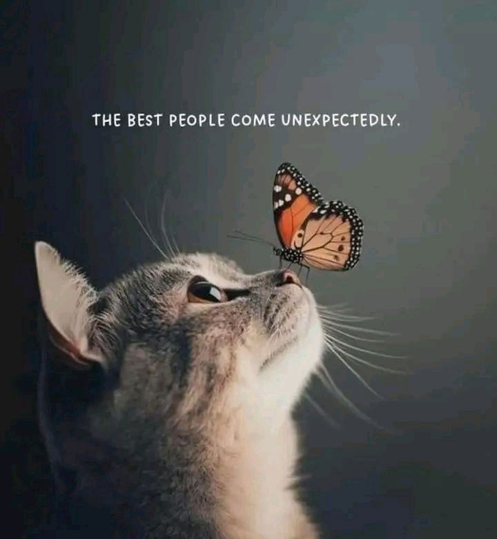 Good Morning Everyone..