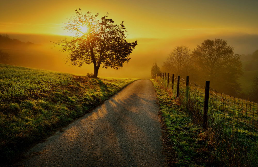 Good morning Universe