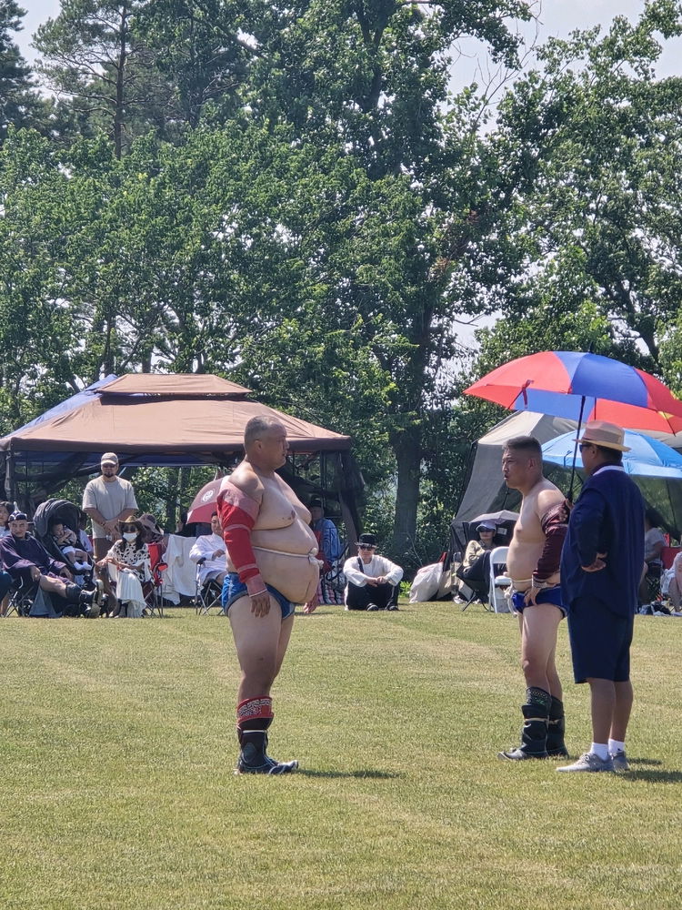 Mongolian wrestling