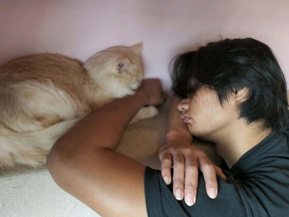 Cat cafe