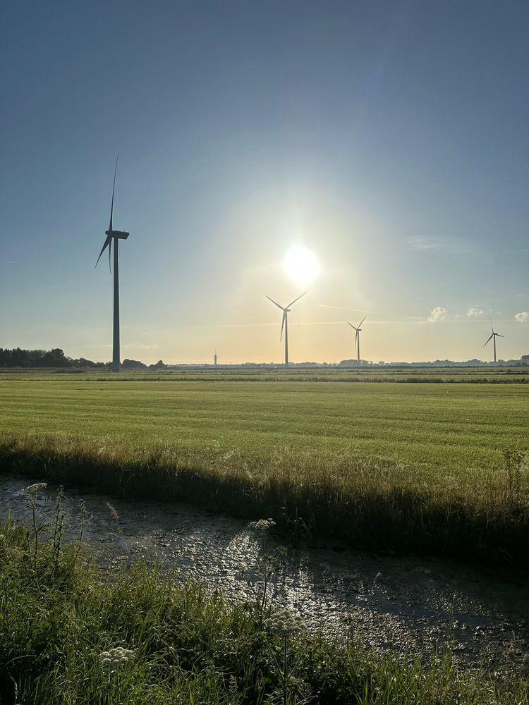 Netherlands 🇳🇱