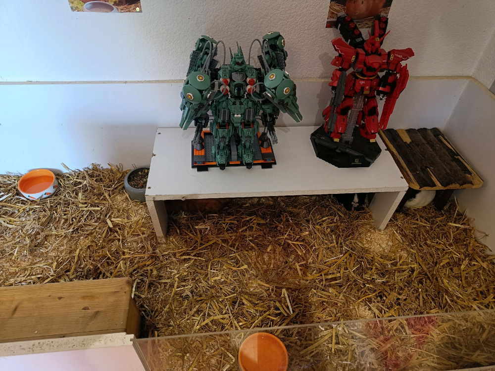 Meeries sind keine stinker mehr