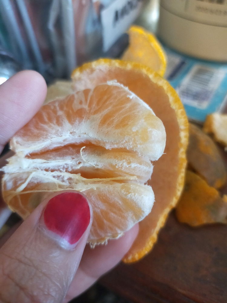 🍊🍊