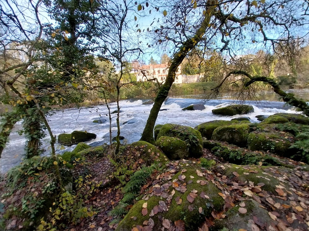 Garenne lemot a clisson