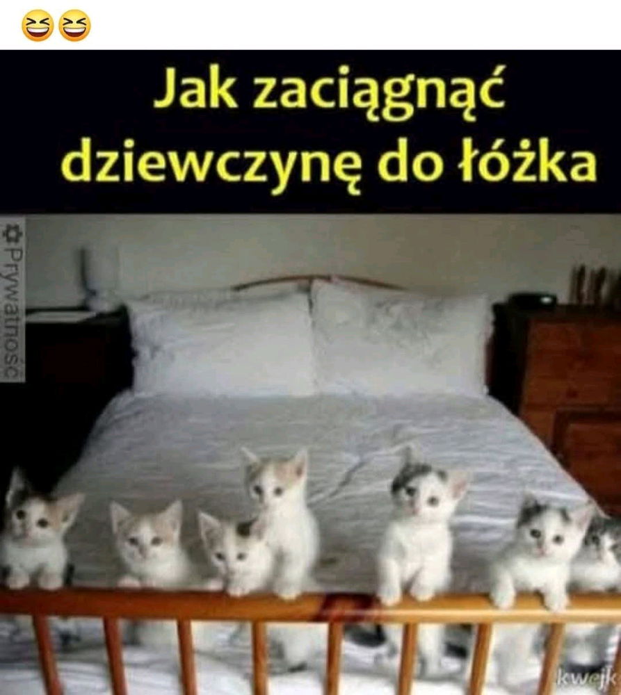 To chyba niezawodny sposób, lepszy niż mam kicie w piwnicy, chodź zobaczyć.