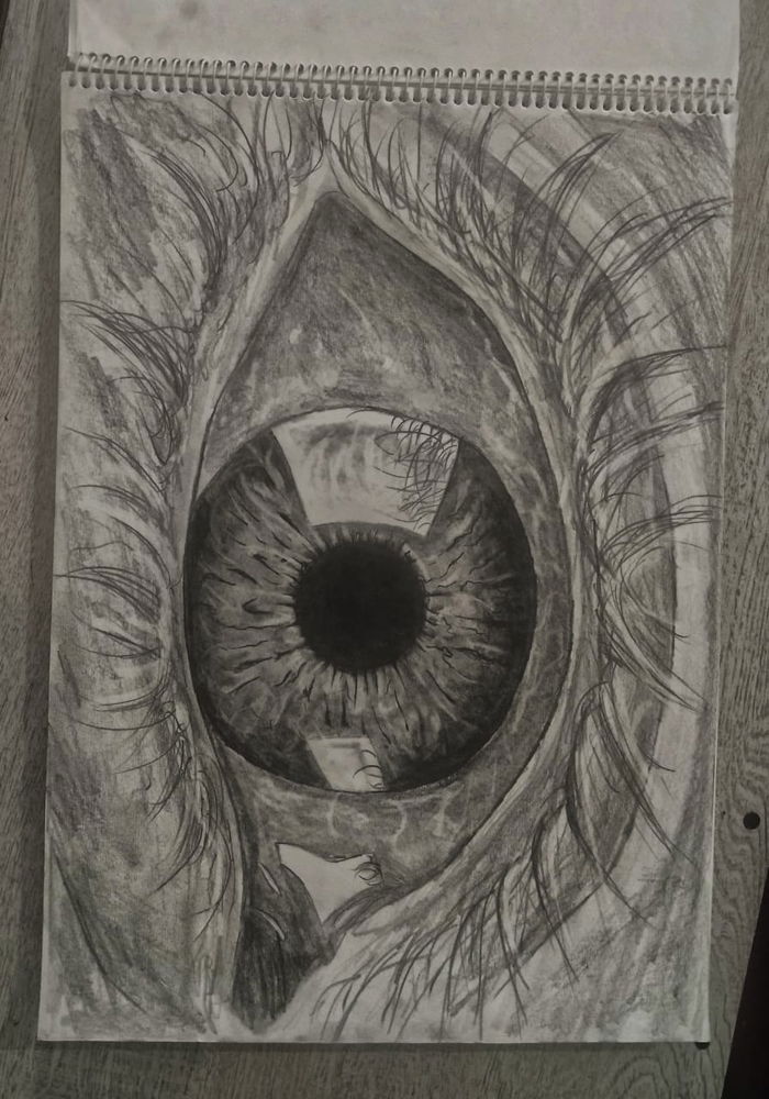 🎨🎨