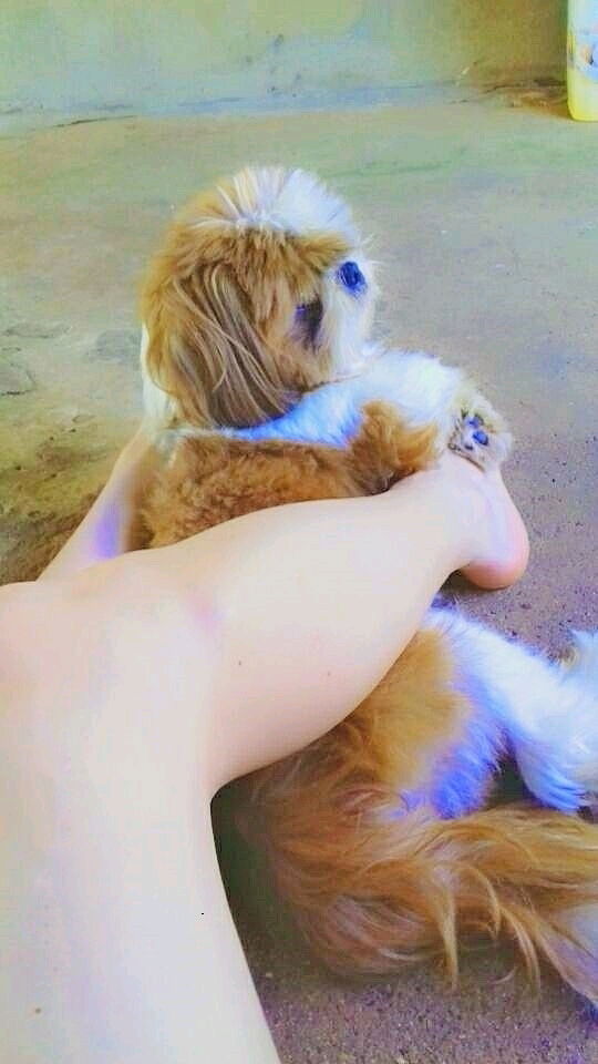 Meu bb