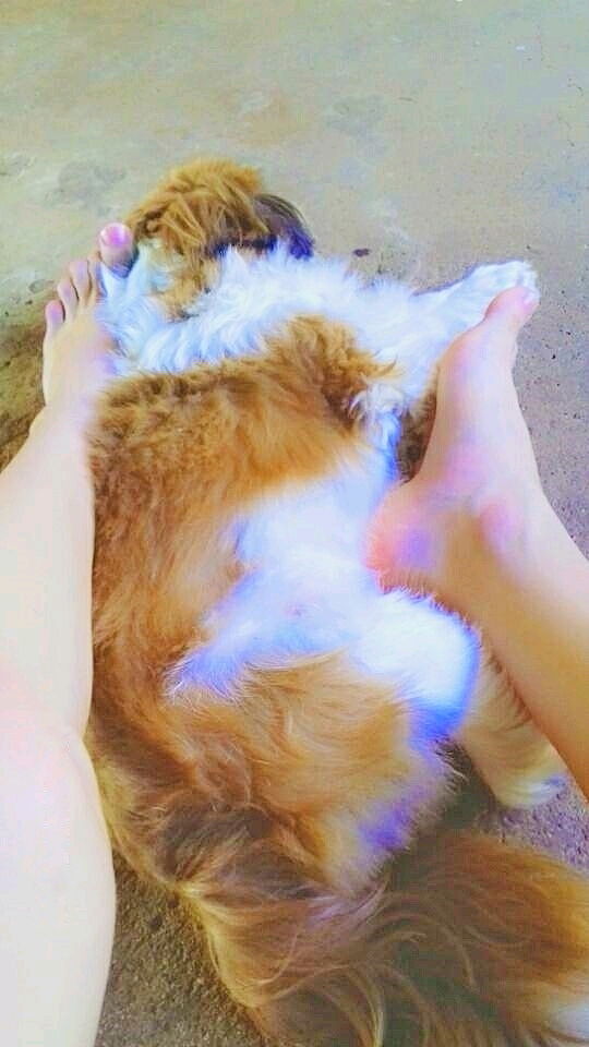 Meu bb