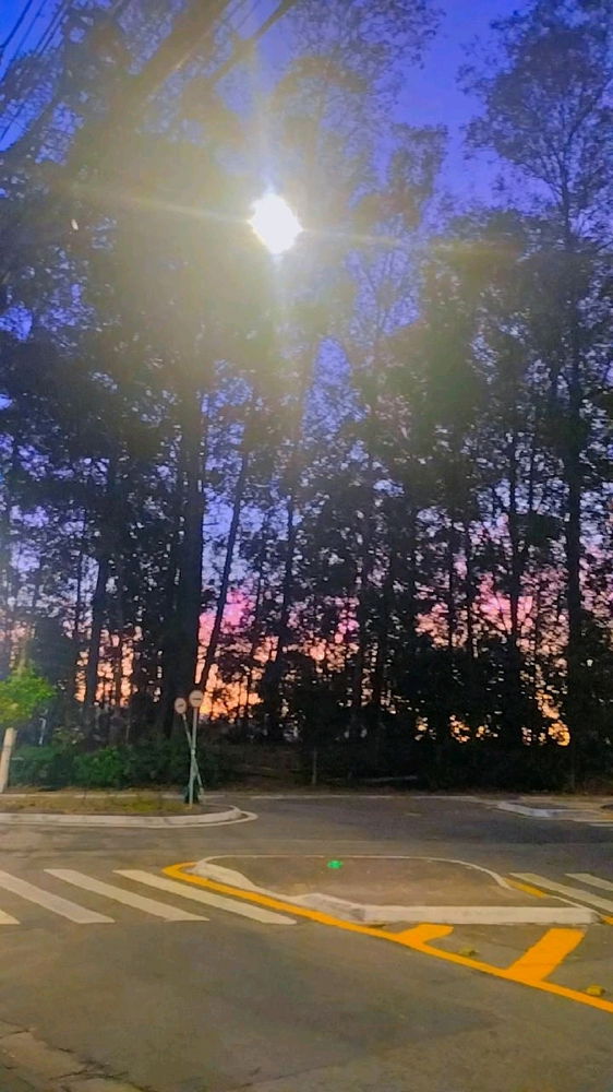 Quadros vivos