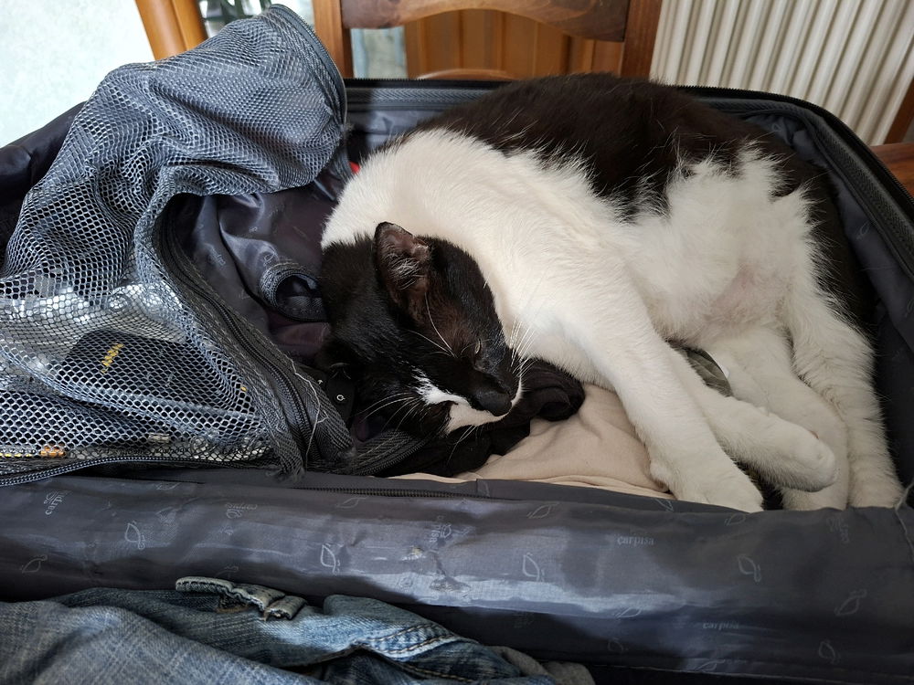 E niente non gli è andata giù che sono andato in vacanza e me lo fa pesare 🤣🤣🤣