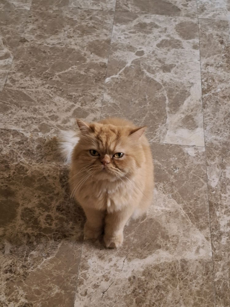 Who's here waiting for the treats 😍
