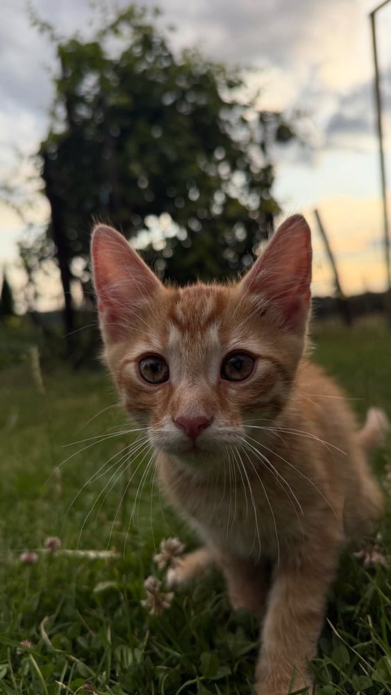 ♥️