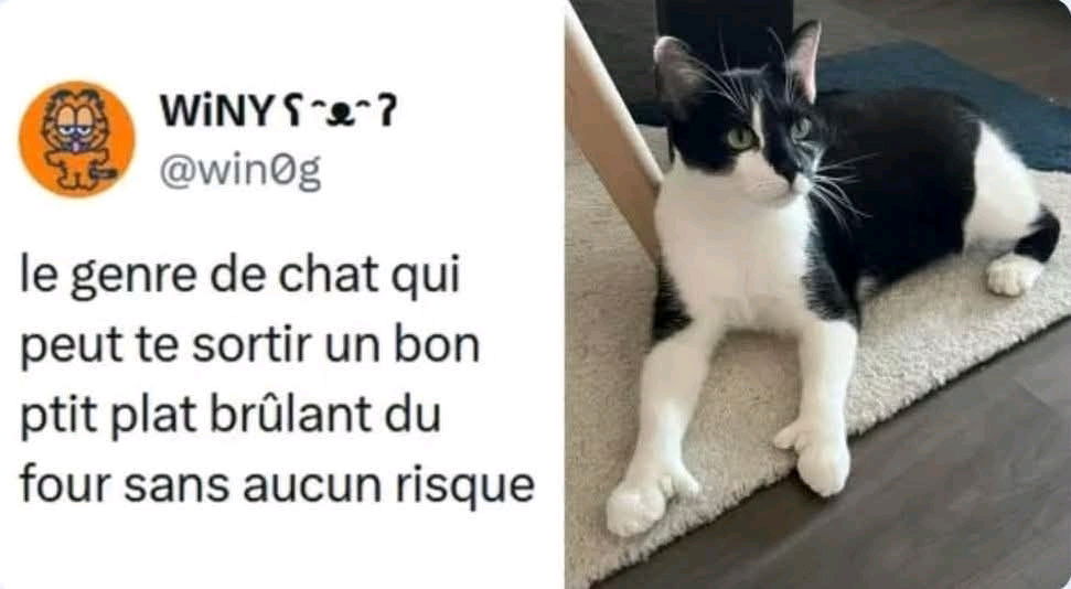 Un très bon samedi à tous ☺️