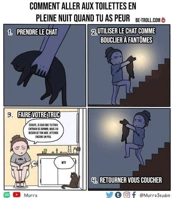 Coaching contre les peurs nocturnes 😁
