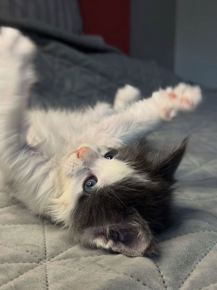 🤗