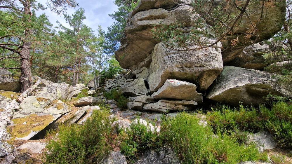 Balade à Fontainebleau 😀