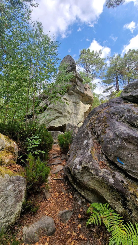Balade à Fontainebleau 😀